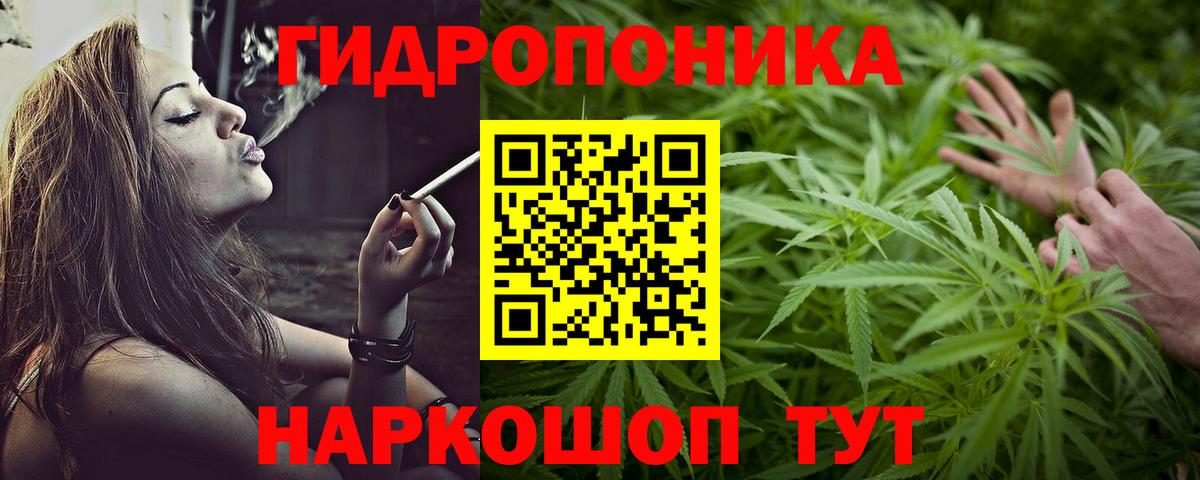 Бошки Шишки SATIVA & INDICA  Марихуана гибрид  Вход с VPN  Конопля White Widow  Тамбов 